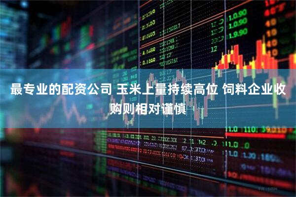 最专业的配资公司 玉米上量持续高位 饲料企业收购则相对谨慎